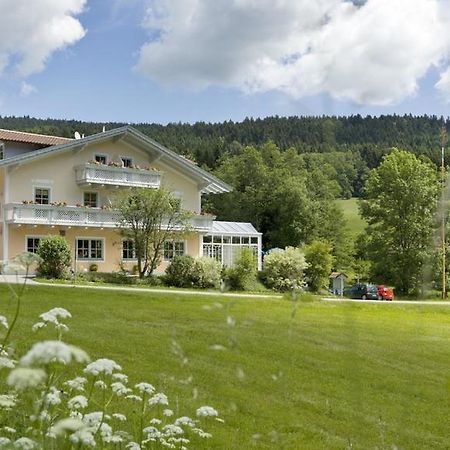 Landgasthof Zum Hirschenstein, Pension Garni Sankt Englmar Luaran gambar