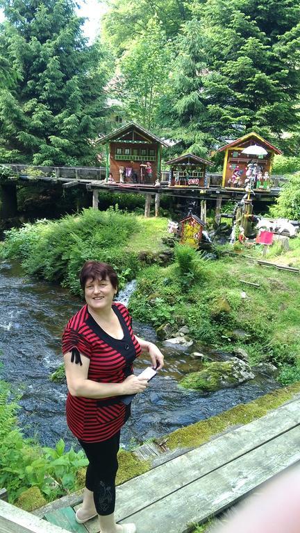 Landgasthof Zum Hirschenstein, Pension Garni Sankt Englmar Luaran gambar